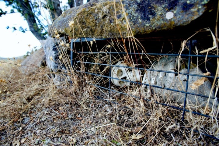 Tumba en el necrópolis de El Castillo (Palacios de la Sierra, Burgos)