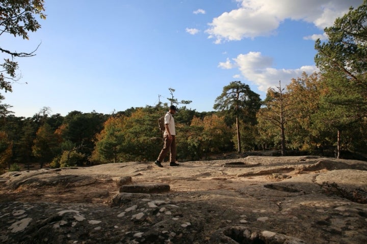 Yacimiento de Revenga, necrópolis de Burgos.