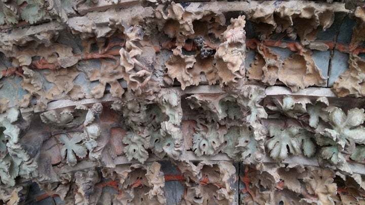 Detalle de las hojas de parra y racimos de uva en el frontal de la iglesia de Santa María.