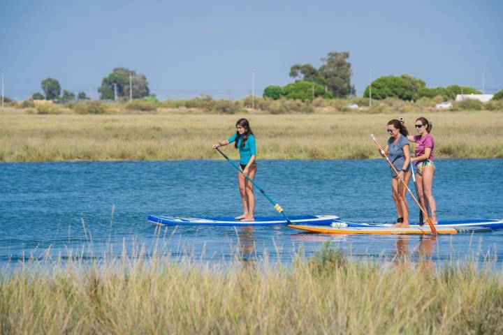 Paddle Surf Isla Canela apertura grupo en SUP