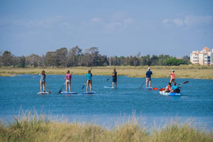 Paddle Surf Isla Canela grupo de espaldas