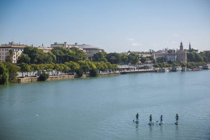 El clima de Sevilla favorece la práctica del 'paddle surf' en todas sus variantes.