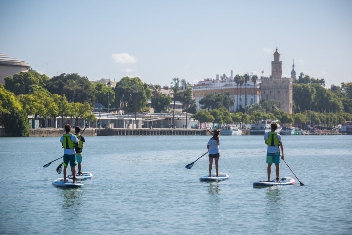 Contempar la Torre del Oro navegando, una experiencia para todas las edades.