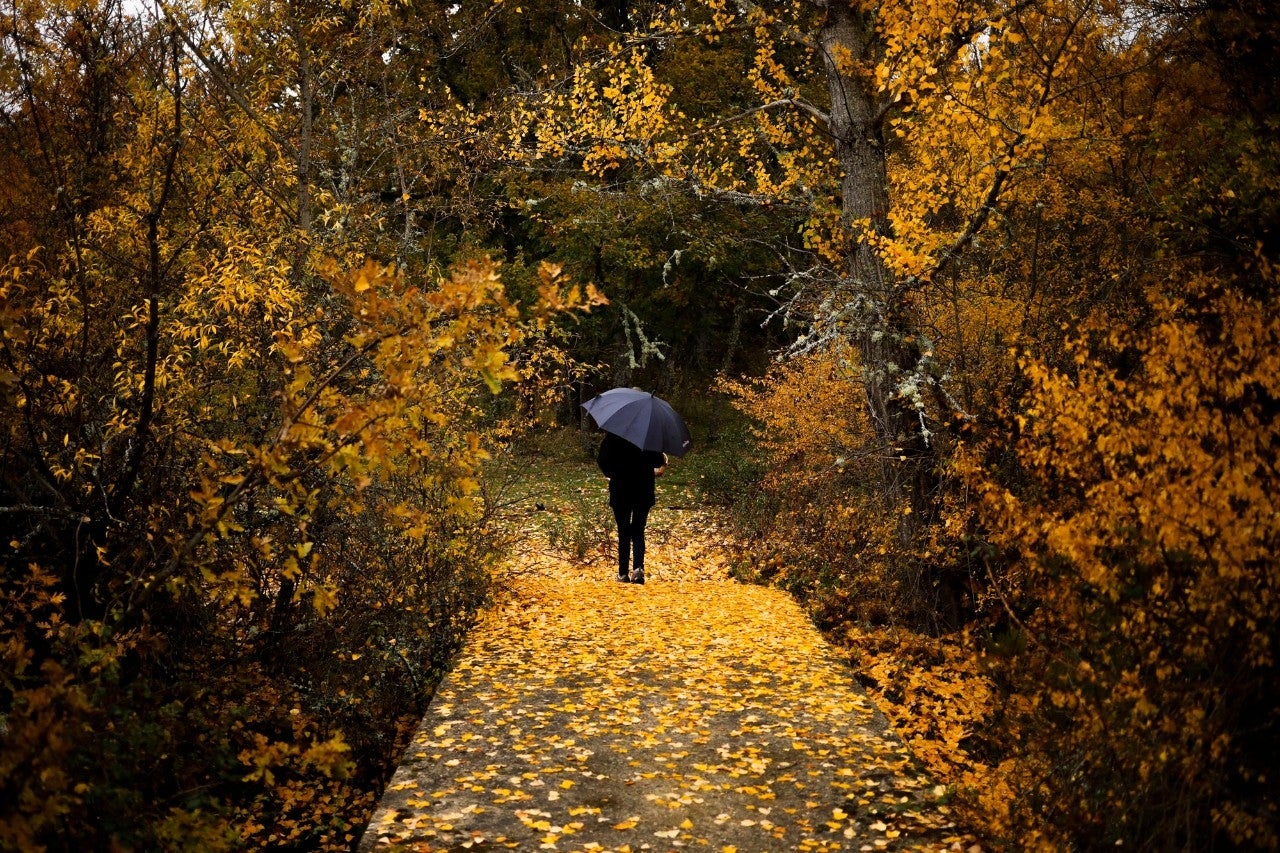 Los bosques que rodean los pueblos negros de Guadalajara lucen sus mejores galas en otoño.