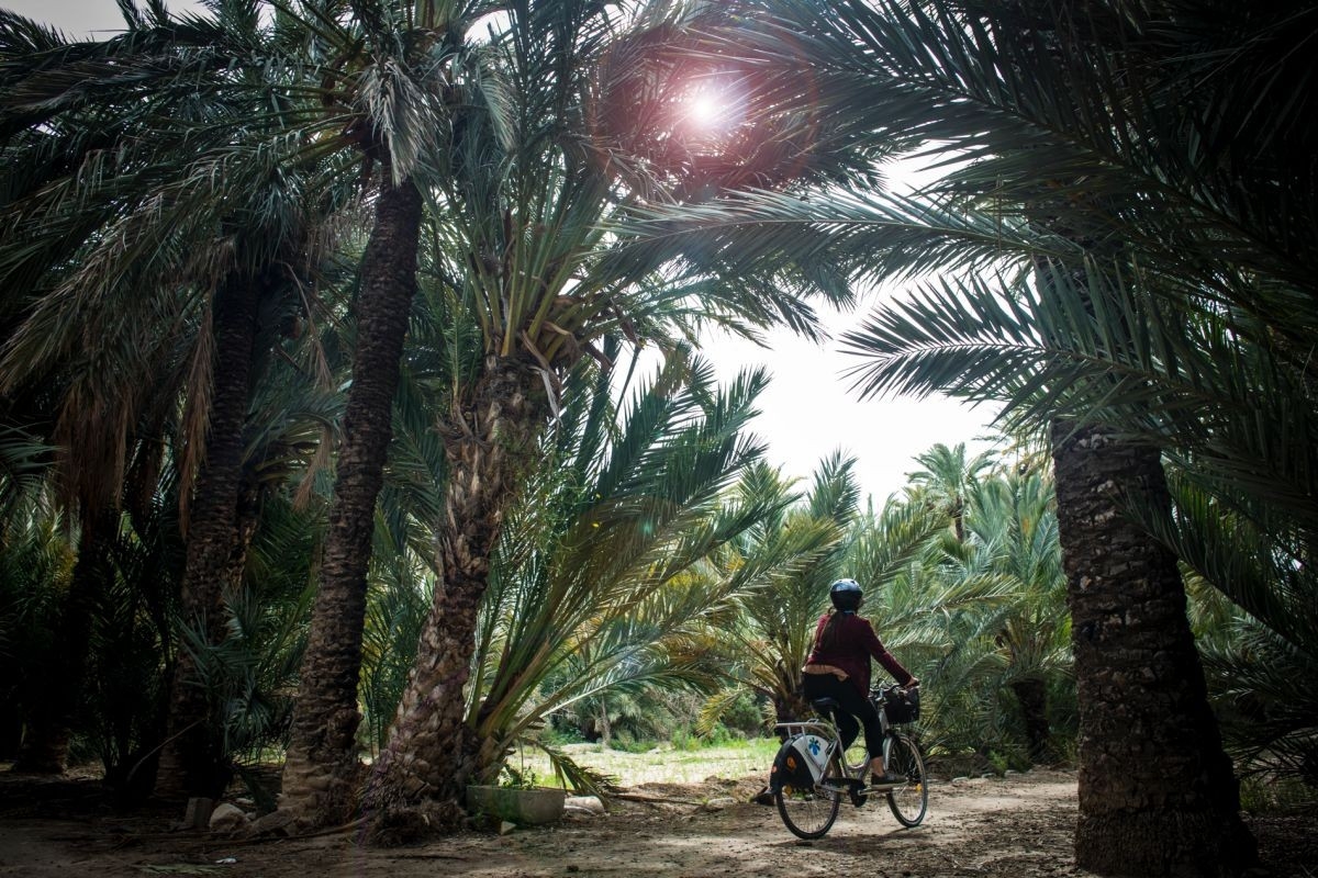 El lujo de pedalear por un oasis de palmas y lagos