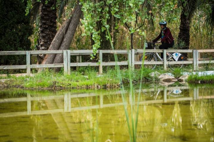 Paseando en bici junto al estanque central del Parque de Palmeras de Filet de Fora, en Elche (Alicante).