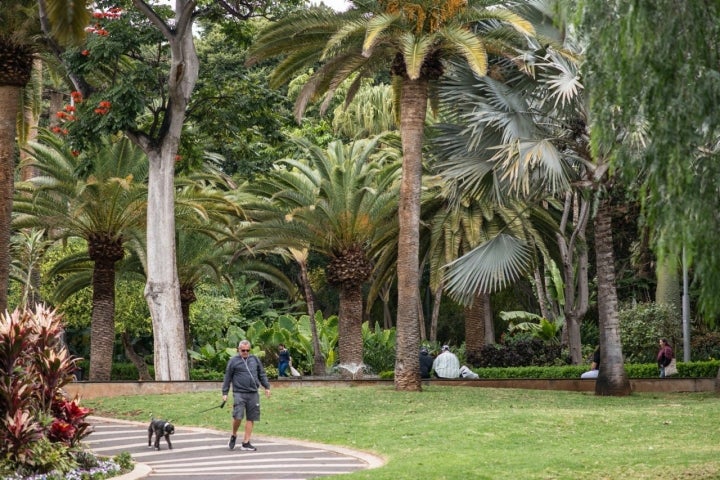 Parque García Sanabria (Santa Cruz de Tenerife)