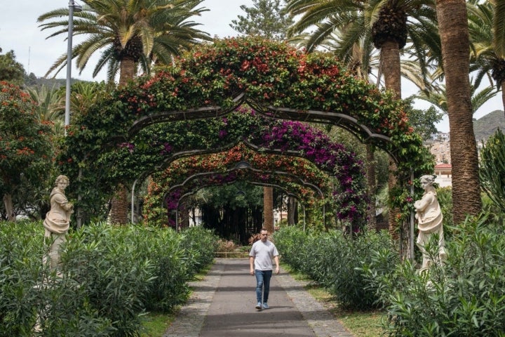 Parque García Sanabria (Santa Cruz de Tenerife)