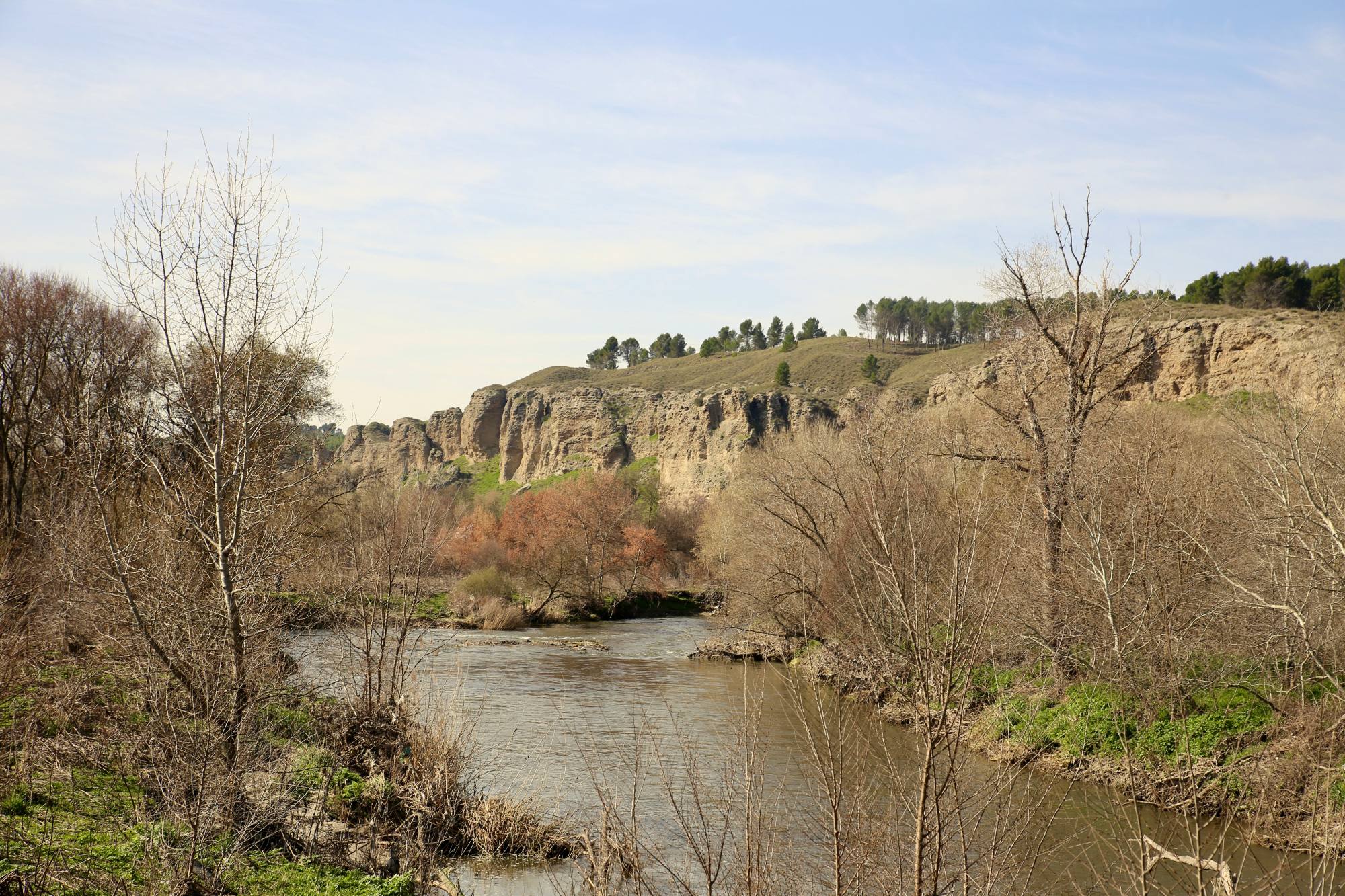 Cortados sobre el Manzanares