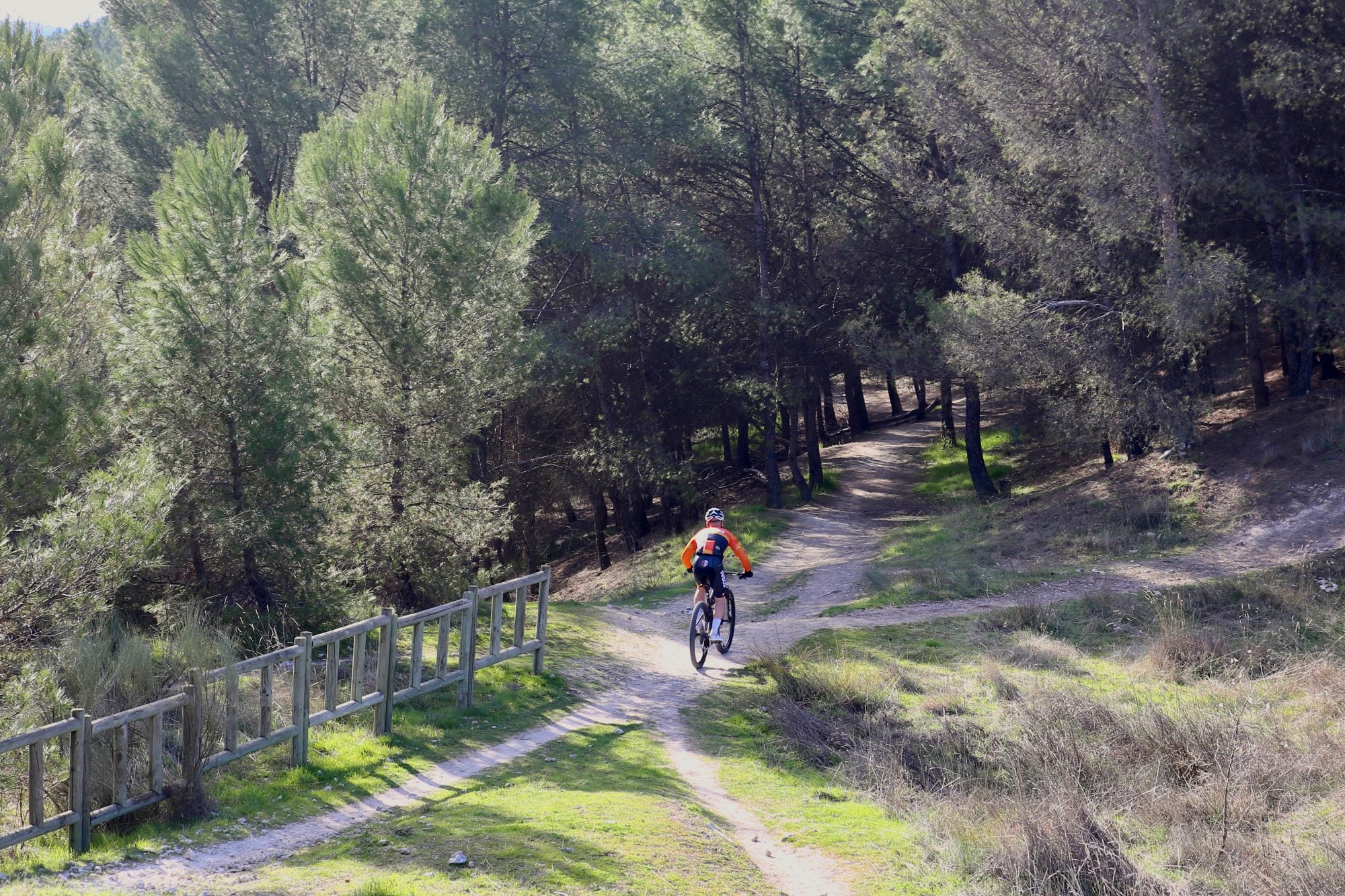 Ciclista en una de las rutas del Parque Regional