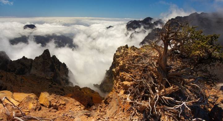 Parque Nacional Caldera Taburiente: Mar de nubes