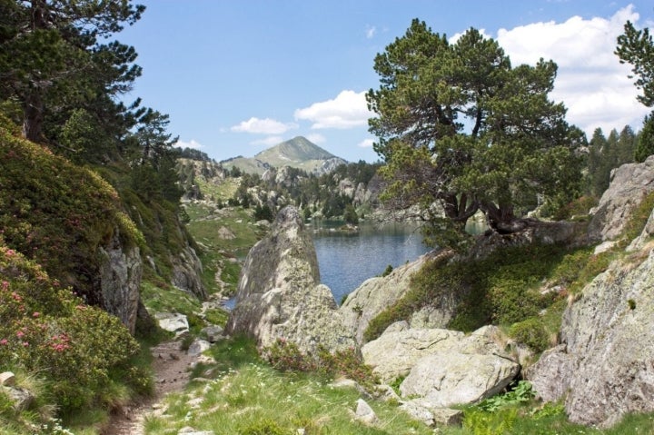 Parque Nacional de Aiguas Tortas y lago San Mauricio