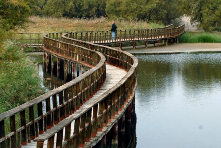 Parque Nacional Daimiel: paseo por el puente