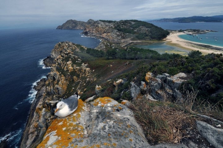 Parque Nacional Cíes-Islas Atlánticas: vistas desde el Mirador da Campa