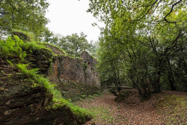 Parque de Ametzagaina