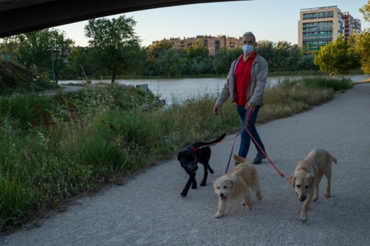 Parques de Zaragoza: Río Huerva (paseo de perros)