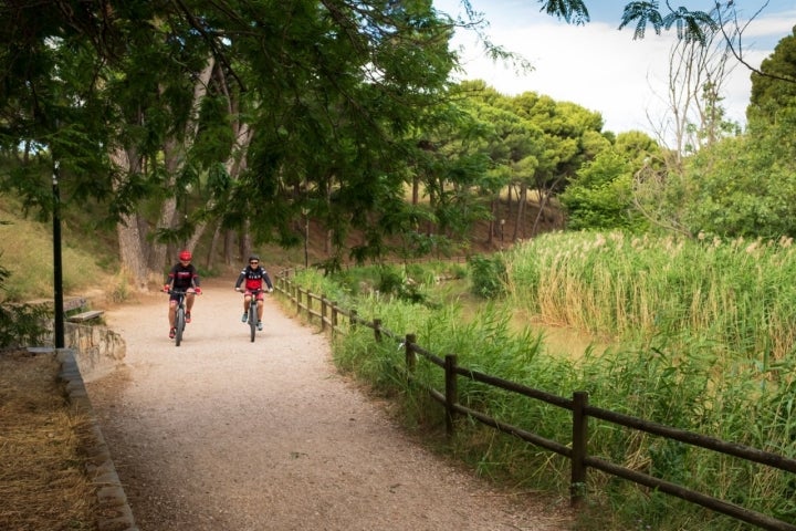 Parques de Zaragoza: Pinares de Venecia (ciclistas en mountain bike)