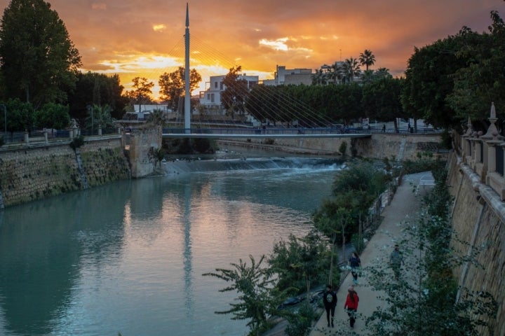 atardecer a orillas del segura en murcia