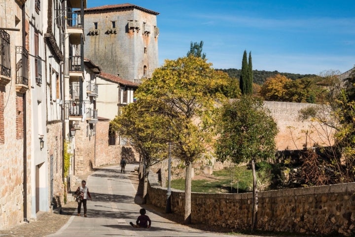 torre y rio covarrubias