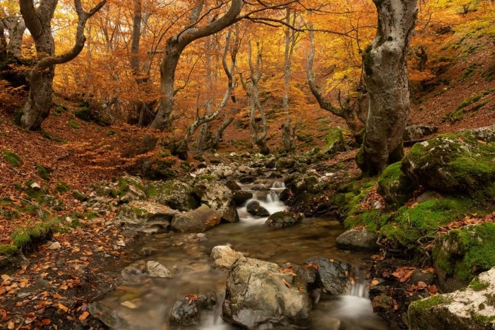 arroyo villar en faedo de ciñera