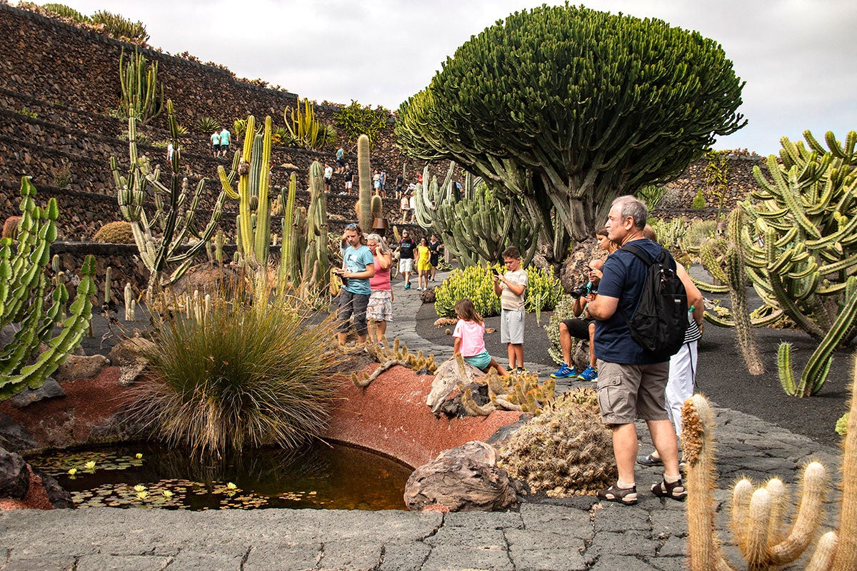 invadir Penélope Promesa Paseo por el Jardín de Cactus de la isla de Lanzarote (Las Palmas) | Guía  Repsol