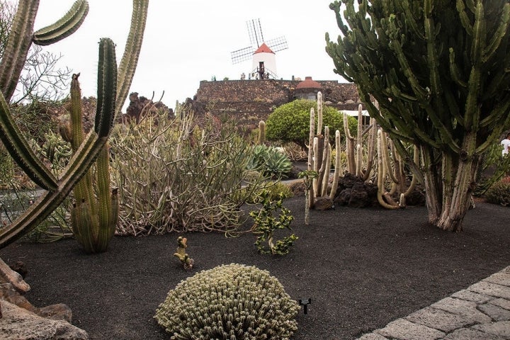 El molino del siglo XIX, al fondo, es de visita obligada.