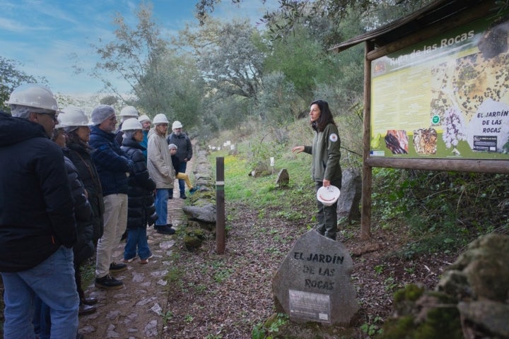 En cada visita entran unas 15 personas.                  