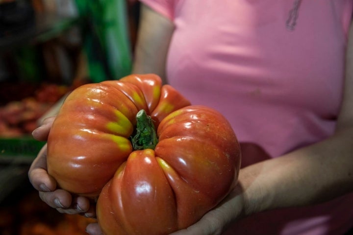 Tomates directamente desde la huerta.