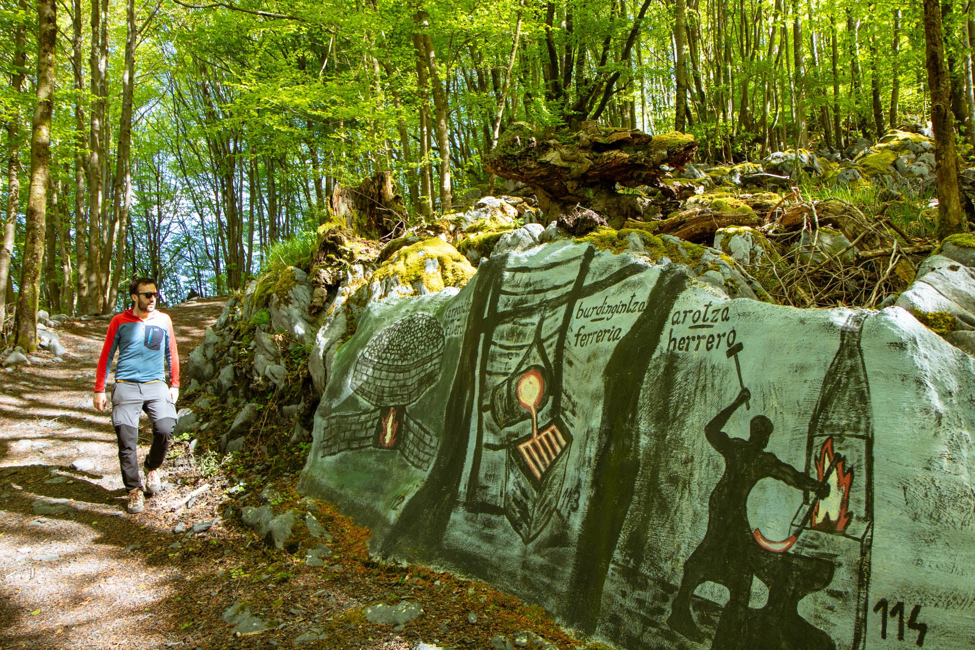 Paseo por el hayedo lleno de pinturas rupestres sobre zoología, botánica, etnografía y mitología de la zona.