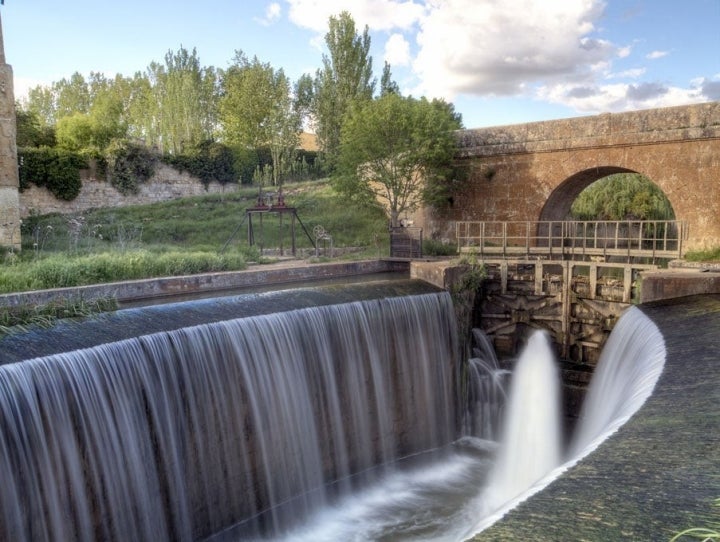 Un paseo en barco entre campos de cereales. Foto: Shutterstock.