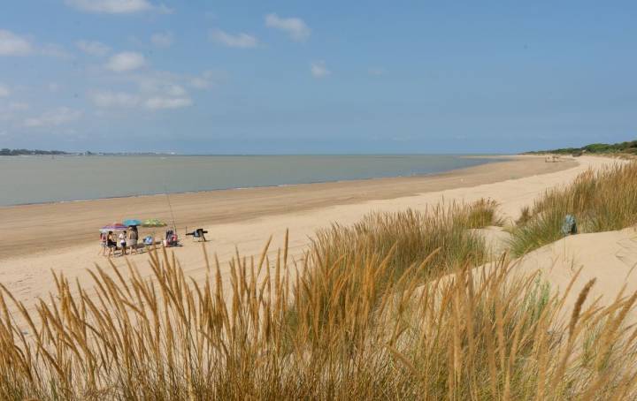 En Doñana hay 28 kilómetros de playa virgen hasta Matalascañas.