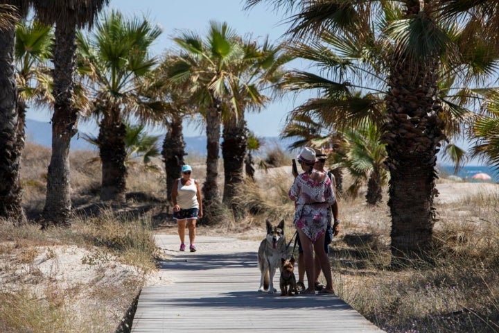 Parque Litoral - Castellón