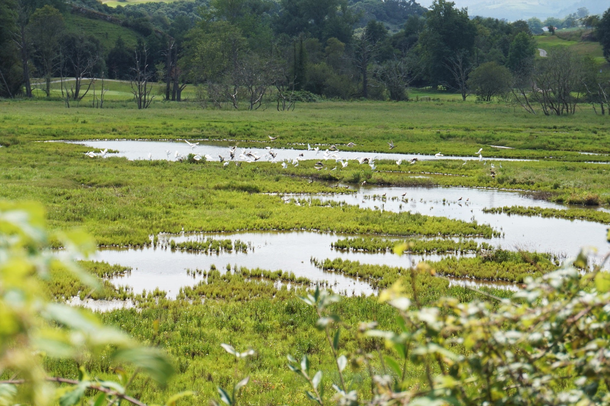 Parque Natural Oyambre