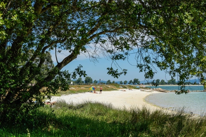 Playa Lavanqueira