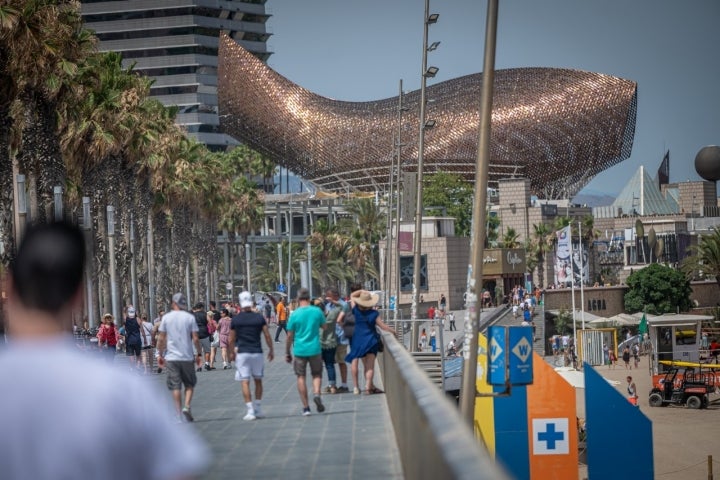 Playas de Barcelona Pez Metálico Frank Gehry