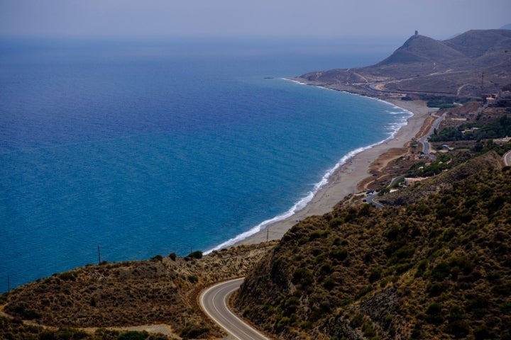 El Algarrobico