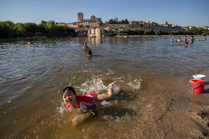 Los Pelambres es la playa más concurridas del río Duero a su paso por Zamora.