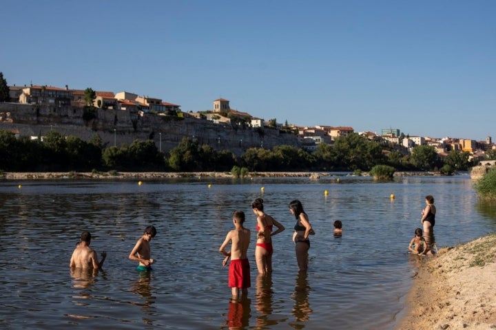 Playa Los Pelambres Zamora