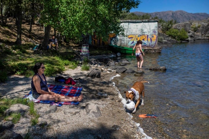 Perros Lago de Sanabria