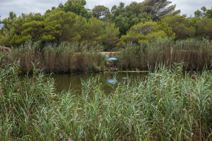 Un pescador en la orilla del río Vaca