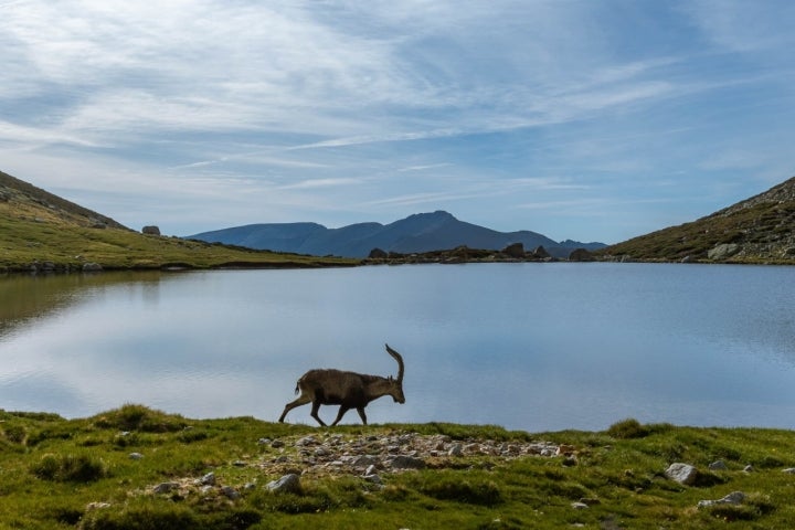 Ruta Lagunas Barco Ávila