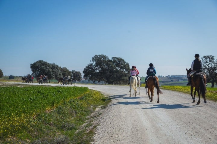 Un plan familiar: ruta por La Carlota. Foto: Javier Sierra