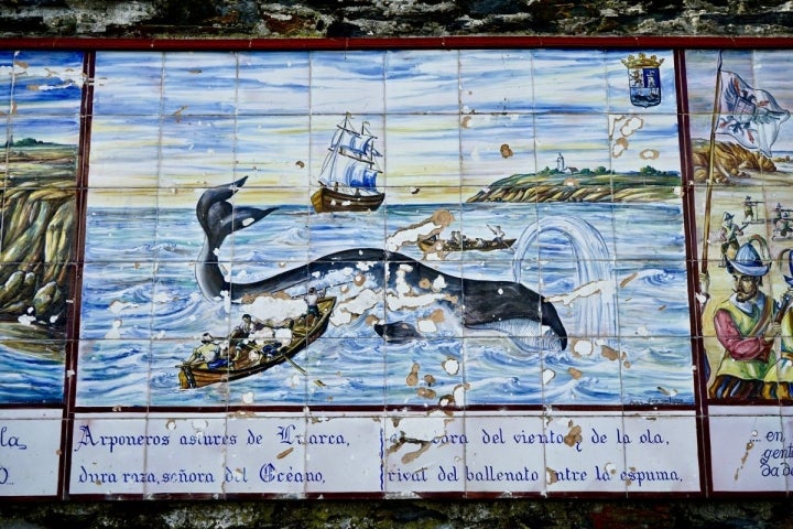 Luarca Ballena