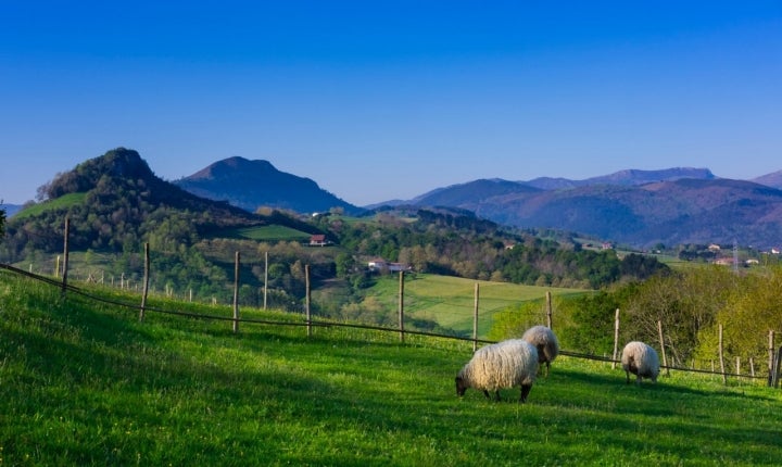Hernani está rodeado de montañas y paisajes naturales. 