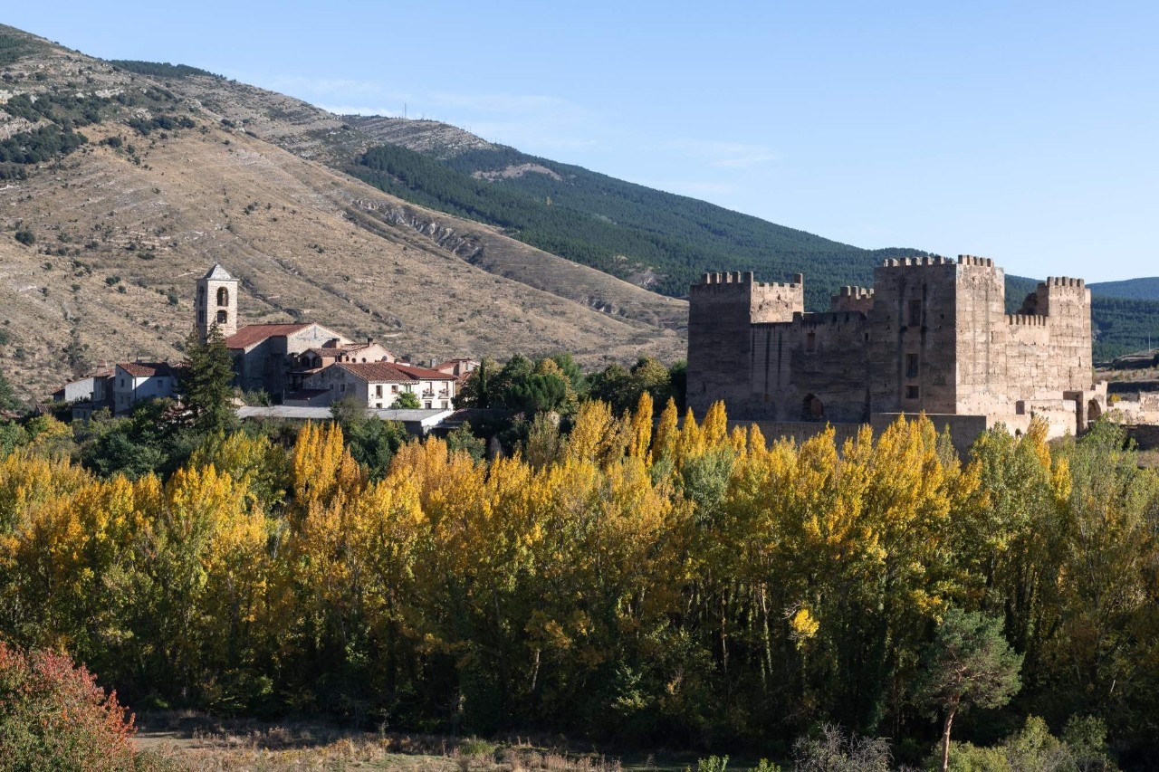 Castillos, iglesias románicas y tesoros naturales a orillas del Duero