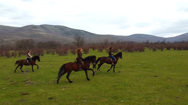 Tras andar sobre las aguas, cabalgar por las rutas de Oteruelo para agotarles. Foto: Caballos del Valle.