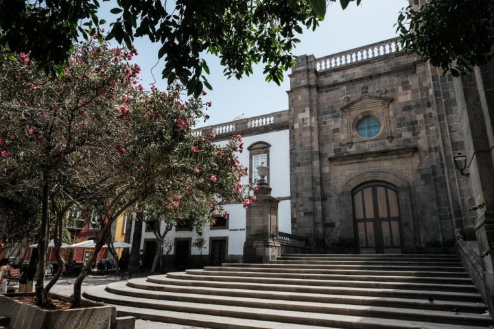  Fachada lateral de la Catedral de Santa Ana con árboles.