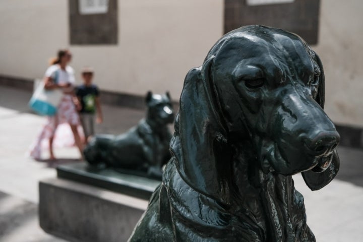 Dos de los perros de la plaza de Santa Ana.