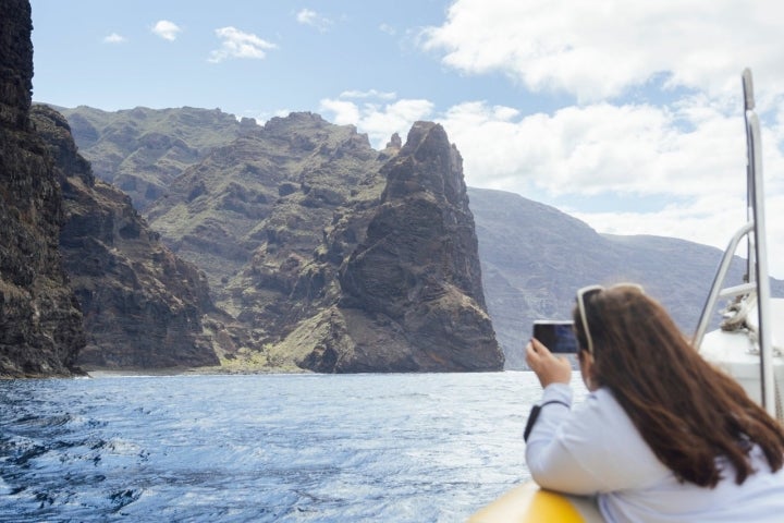 Los Gigantes cetáceos Tenerife