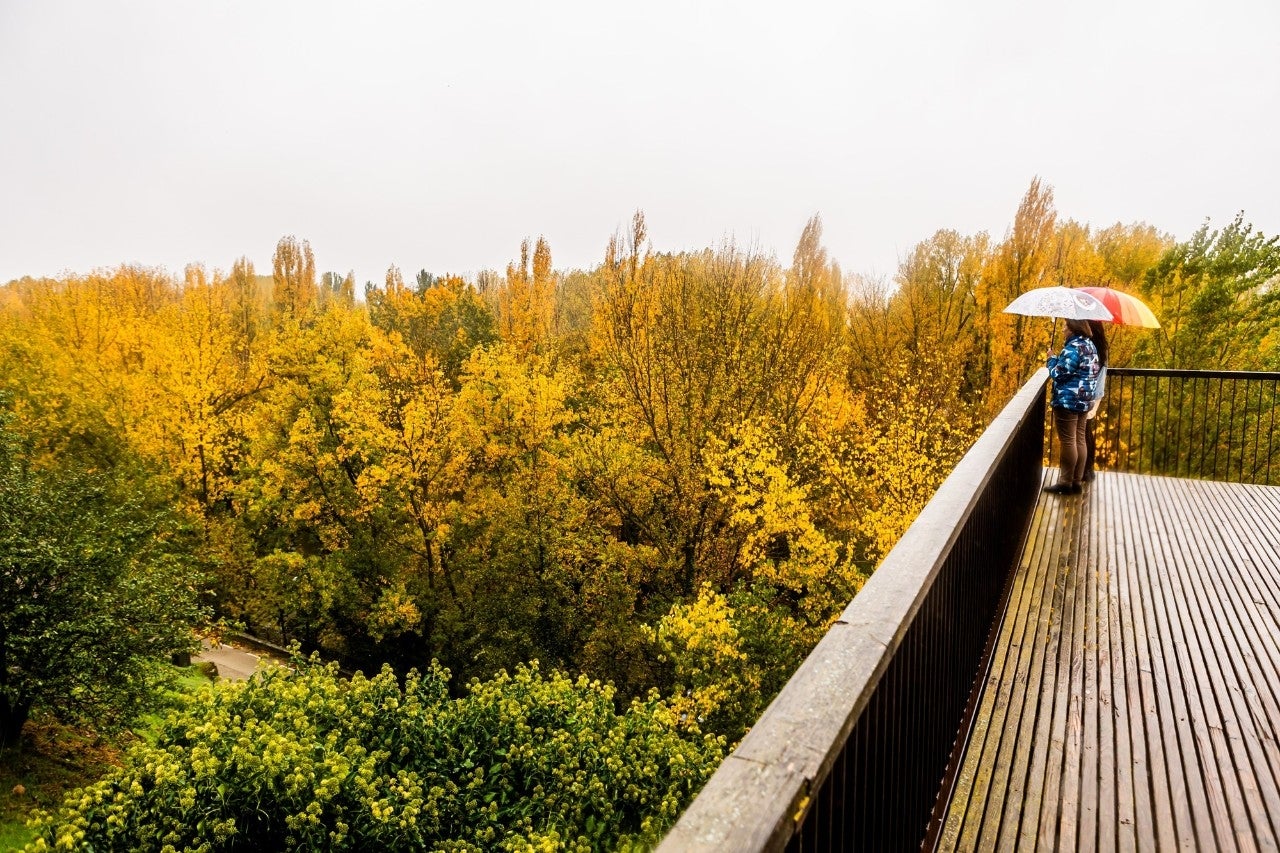 Mirador de San Miguel